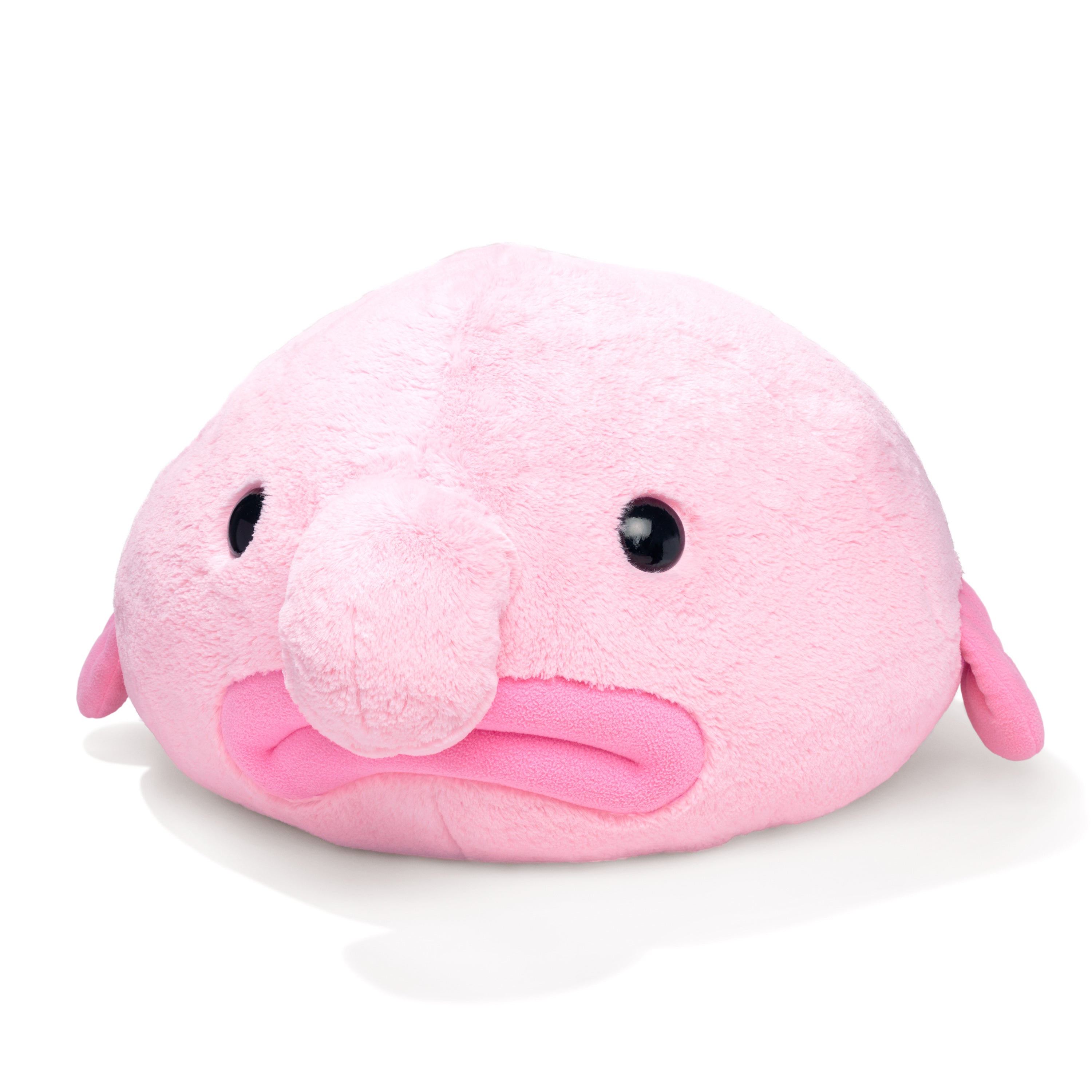  LuLezon Blobfish Plush Pillow Cute Ugly Fish Blobfish Stuffed  Animal - Blob Fish Plushie 10 : Toys & Games