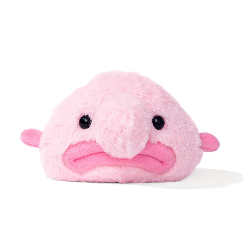  LuLezon Blobfish Plush Pillow Cute Ugly Fish Blobfish Stuffed  Animal - Blob Fish Plushie 10 : Toys & Games